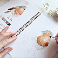 Birds Watercolor Workbook