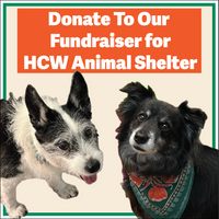 Donate To HCW Animal Shelter