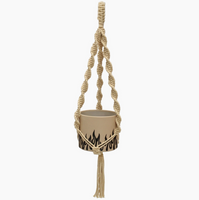 Double Helix Natural Plant Hanger
