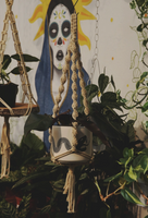 Double Helix Natural Plant Hanger