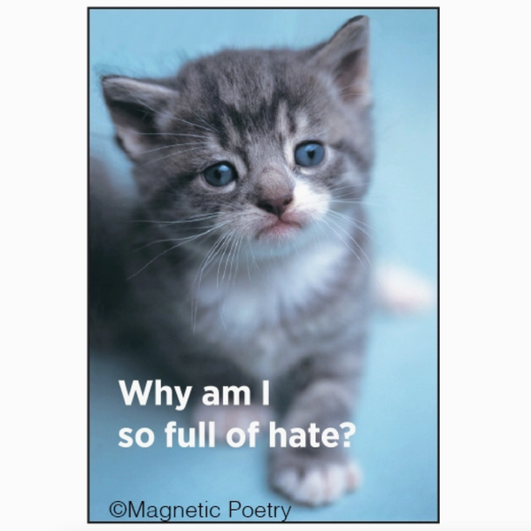Kitten Full of Hate Magnet