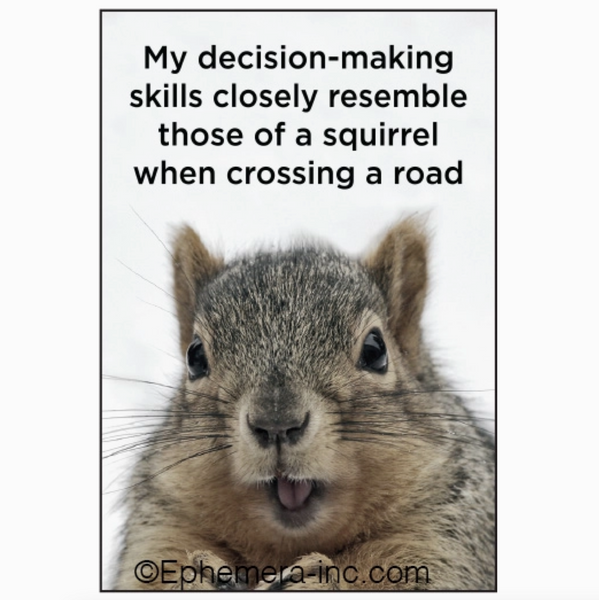 Squirrel Decision Making Skills Magnet