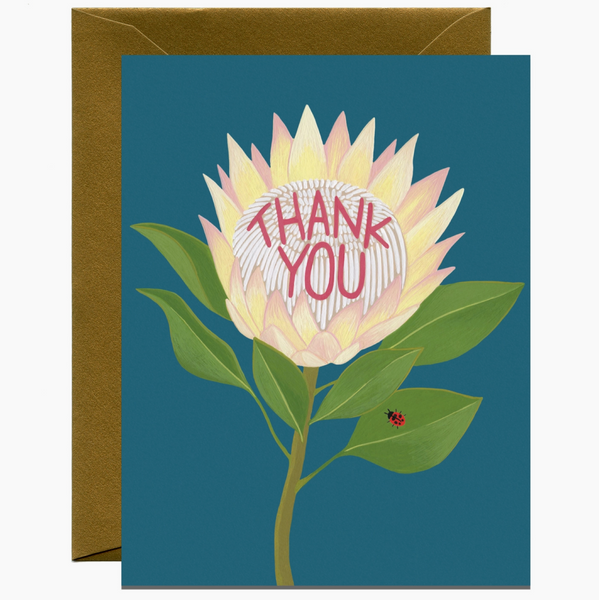 Boxed 8 Pack Thank You Cards - Protea + Ladybug