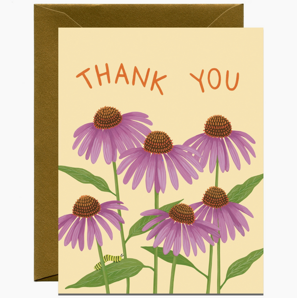 Boxed 8 Pack Thank You Cards - Coneflower + Caterpillar