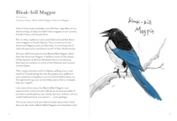 A Dumb Birds Field Guide to the Worst Birds Ever