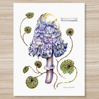 Rosalie Haizlett  Print - Purple Shaggy Mane Mushroom