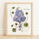 Rosalie Haizlett  Print - Purple Shaggy Mane Mushroom