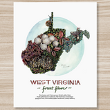 Rosalie Haizlett  Print - West Virginia Forest Floor