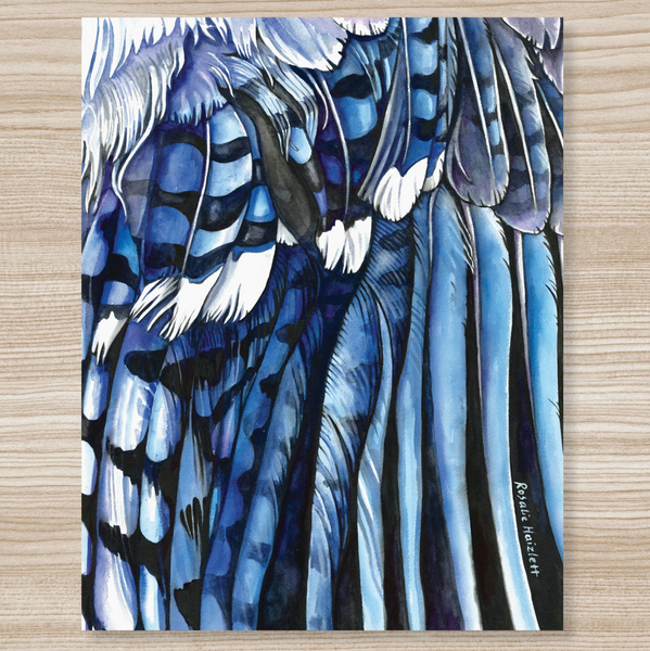 Rosalie Haizlett  Print - Blue Jay Wing