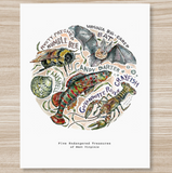 Rosalie Haizlett  Print - 5 Endangered Treasures