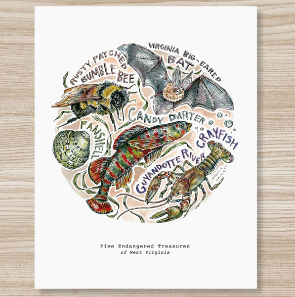 Rosalie Haizlett  Print - 5 Endangered Treasures
