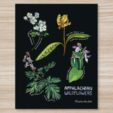 Rosalie Haizlett  Print - Appalachian Wildflowers