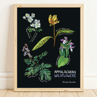 Rosalie Haizlett  Print - Appalachian Wildflowers