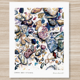 Rosalie Haizlett  Print - Creek Bed Stones