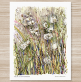 Rosalie Haizlett  Print - Field Of Cottongrass