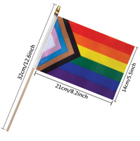 Small Progress Pride Flag On A Stick