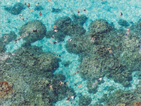 Gray Malin The Beach Two Sided Puzzle
