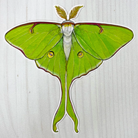 Luna Moth Sticker