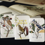Field Notes 3 Pack - Birds + Trees Pack A