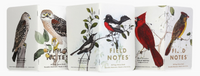 Field Notes 3 Pack - Birds + Trees Pack C