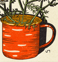 Enamel Mug Daisies Print