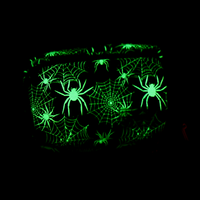 Wally Pack - Spooky Spiders