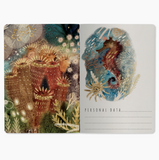Notebook - Coral