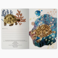 Notebook - Coral