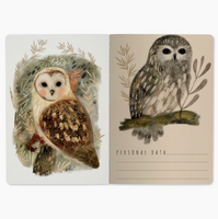 Notebook - Owls