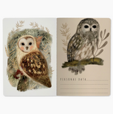 Notebook - Owls