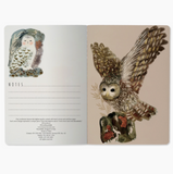 Notebook - Owls