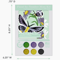 Paint by Number mini kit with butterfly design and color swatches, shown with dimensions.