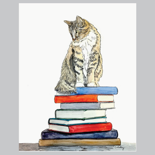 Cat sitting on a stack of colorful books with a gray border