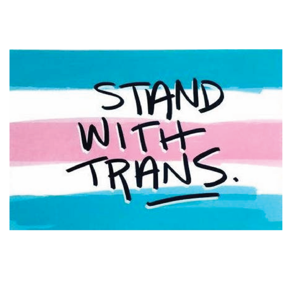 Transgender pride flag with 'Stand With Trans' text on a white background