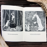 Illustration Zine - The Habits of Foxes