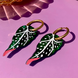 Begonia Maculata Leaf Earrings