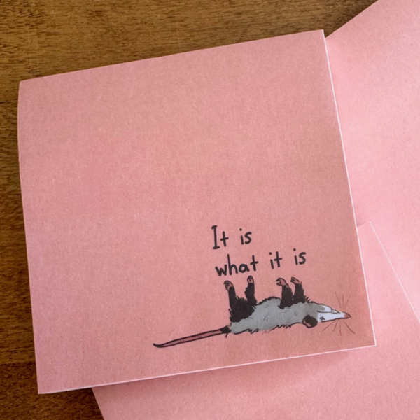 Opossum It Is What It Is Sticky Notes
