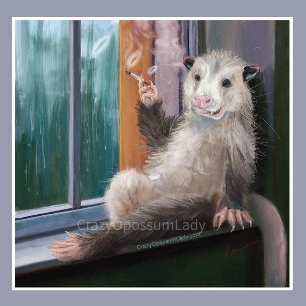 Possum sitting on a windowsill with a rainy window background