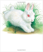 Little Golden Book - Baby Farm Animals