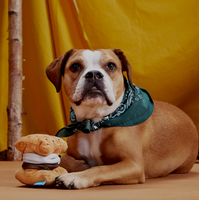 Dog Toy - BARK More S'mores Plush