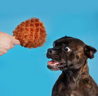 Dog Toy - Bark Tavern Turkey Leg Plush