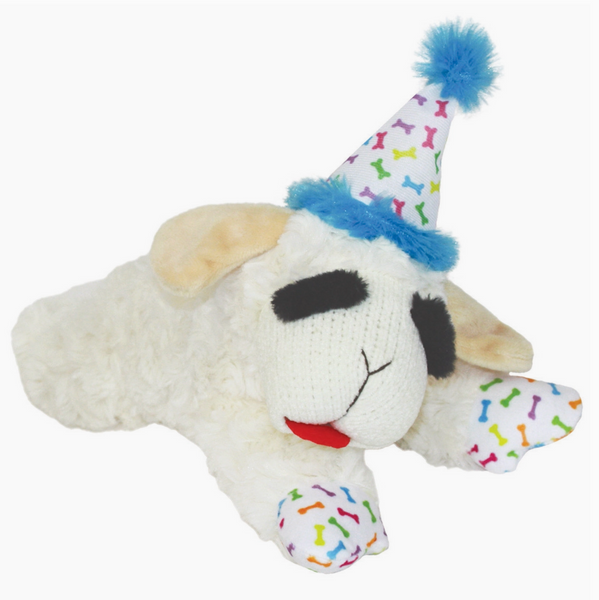 Plush dog toy with a party hat on a white background