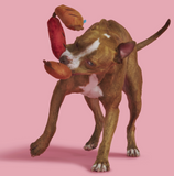 Dog Toy - BARK Lickin Links Plush
