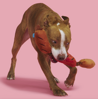 Dog Toy - BARK Lickin Links Plush