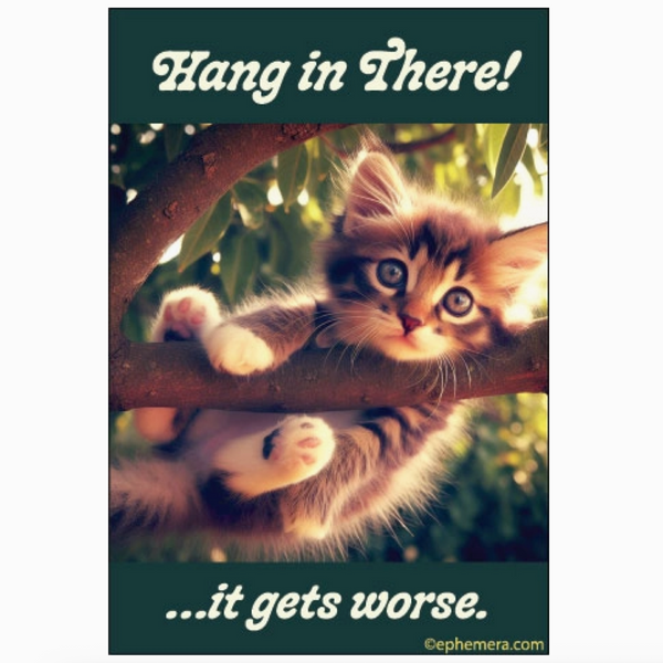 Kitten Hang In There Magnet