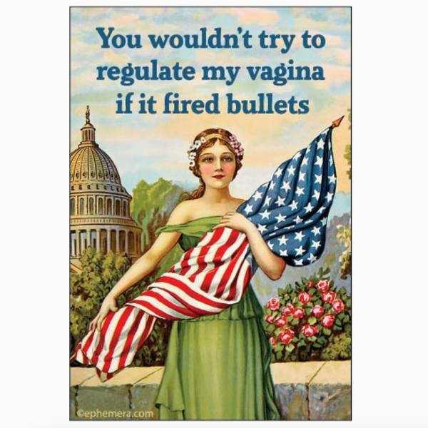 You Wouldn't Try To Regulate My Vagina Magnet