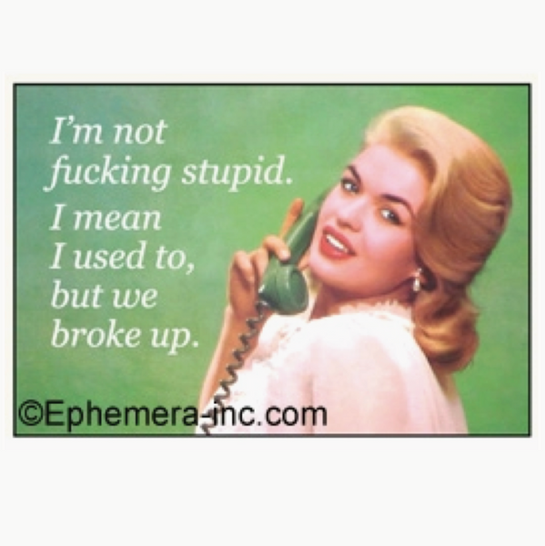 I'm Not Fucking Stupid Magnet