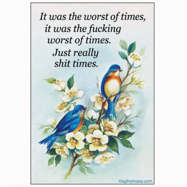 It Was The Fucking Worst of Times Magnet