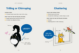 Kitty Language: An Illustrated Guide to Understanding Your Cat