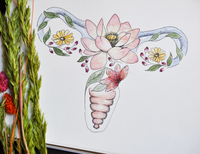 Watercolor Kit - Floral Uterus